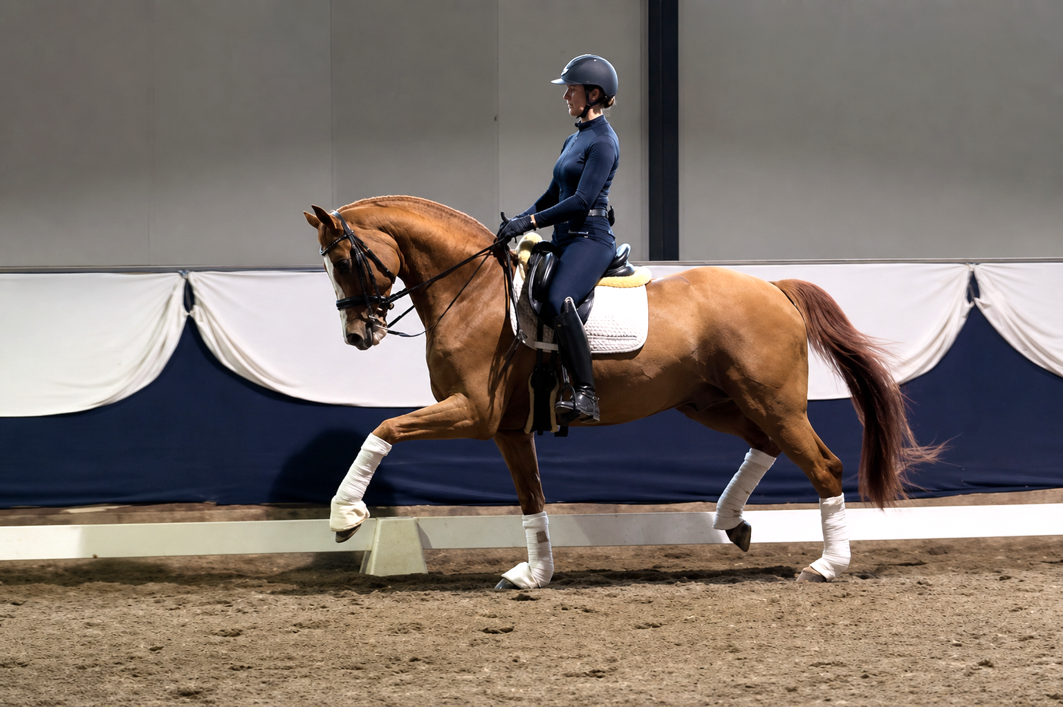10 y.o. Bombproof PSG Gelding