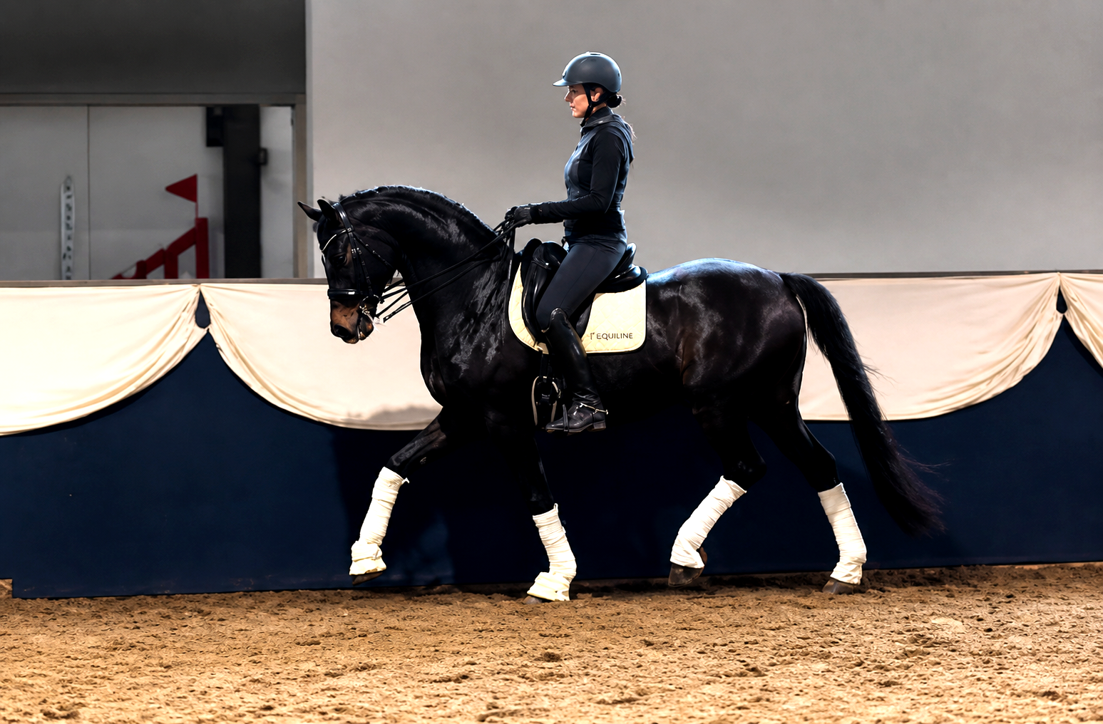 10 y.o. PSG Mare by Fürstenball OLD