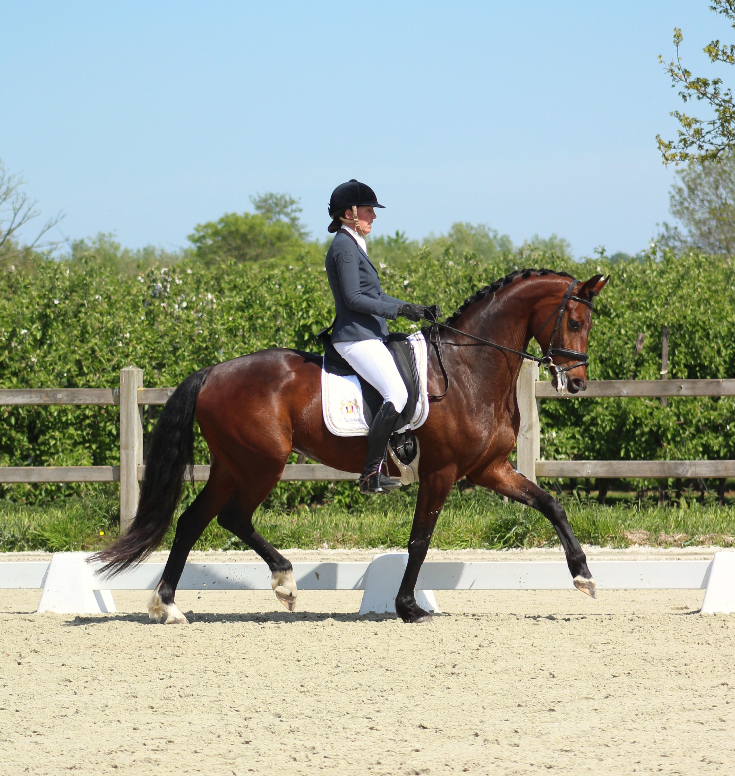 Talented 6yo with potential for higher levels