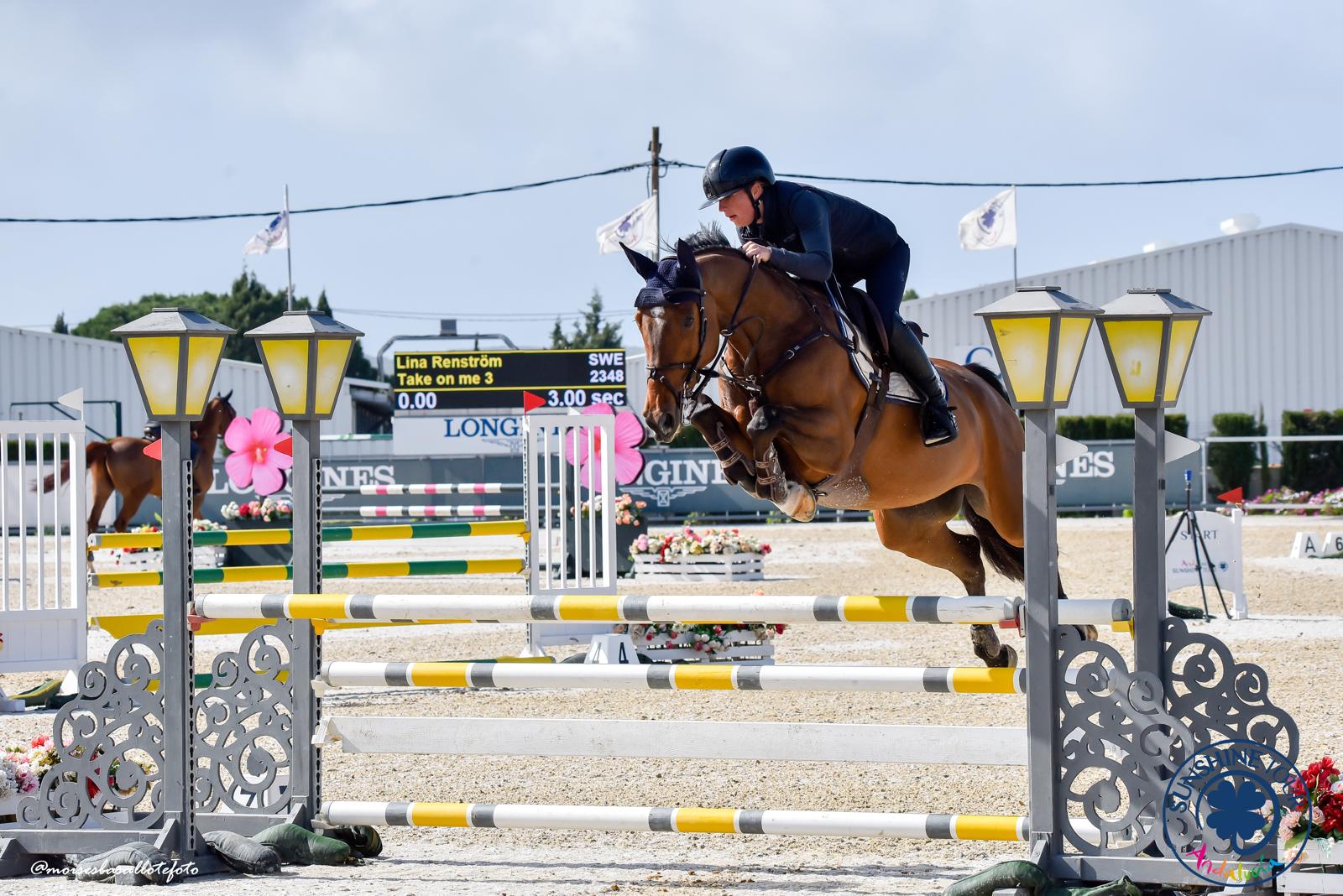 6 Y.o. Take on Me 3 Bruin Springen 125 cm Merrie