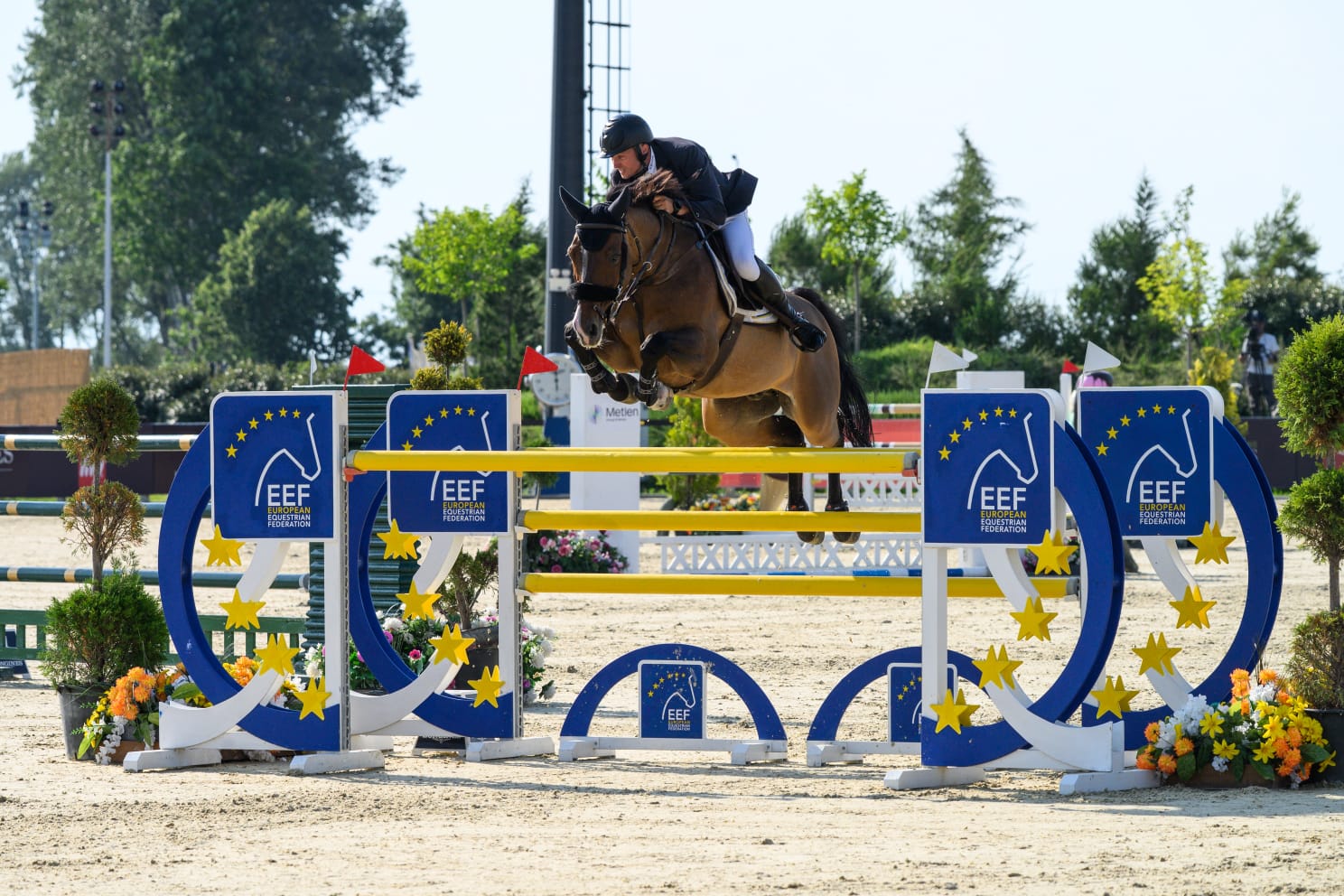 12 y.o. Jumping Gelding by Lancer III , 145-150 cm