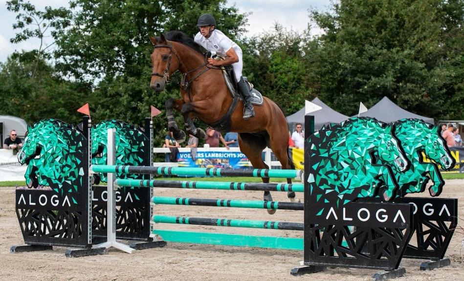 Risky Keros 9 y.o. jump 115cm RuinNABBUCO x IDEAL DE LA LOGE