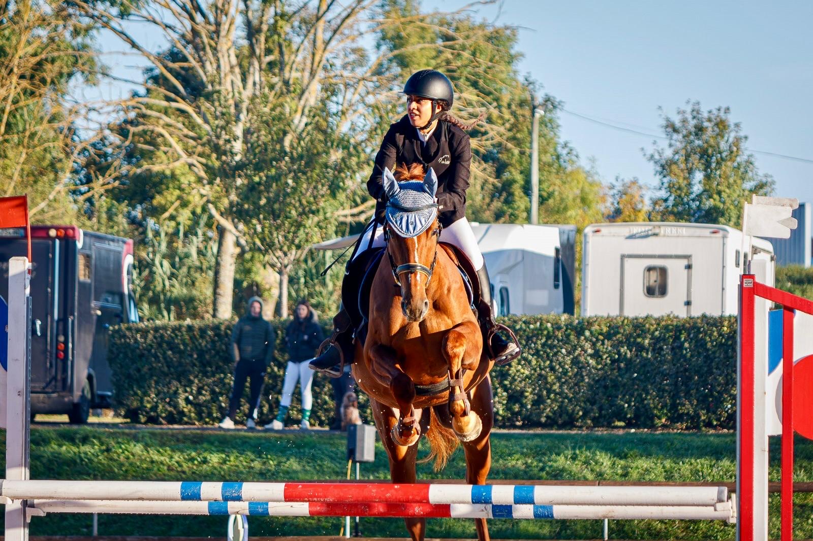 7 y.o. Chestnut Jumping Mare